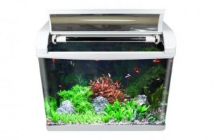 9745a84f2e220d6df841ba36886457b8