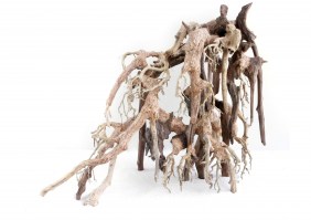 Φυσικη ρίζα BONSAI TREE