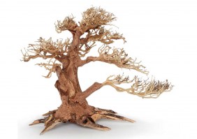 Φυσικη ρίζα BONSAI TREE