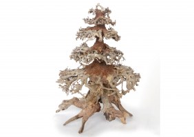 Φυσικη ρίζα BONSAI TREE