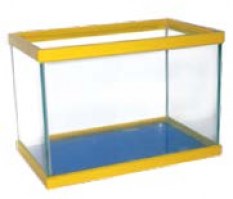 azzurrayellow