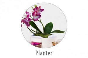 dualplant