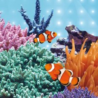 fg_juwel_aquarium_LED_Tube_Blue_2(2)-l