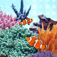 fg_juwel_aquarium_LED_Tube_Marine_2(1)-l