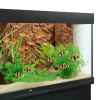 fg_juwel_aquarium_Stone-Clay_ambiente(13)-l