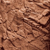 fg_juwel_aquarium_Stone-Clay_colour(5)-l