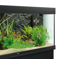 fg_juwel_aquarium_Stone-Granite_ambiente(29)-l