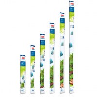 fg_juwel_aquarium_T5_Day_3(6)-l