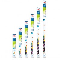 fg_juwel_aquarium_T5_Marine_3(5)-l