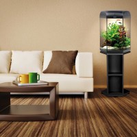 hexa-60043