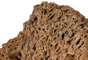 petra-spaggeti4-MG-01