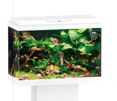 primo-70-led-aquarium-white