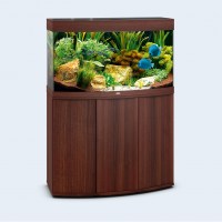 vision180dunkelbraun-small-01