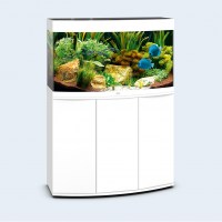 vision180weiss-small-01